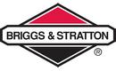 Briggs & Stratton